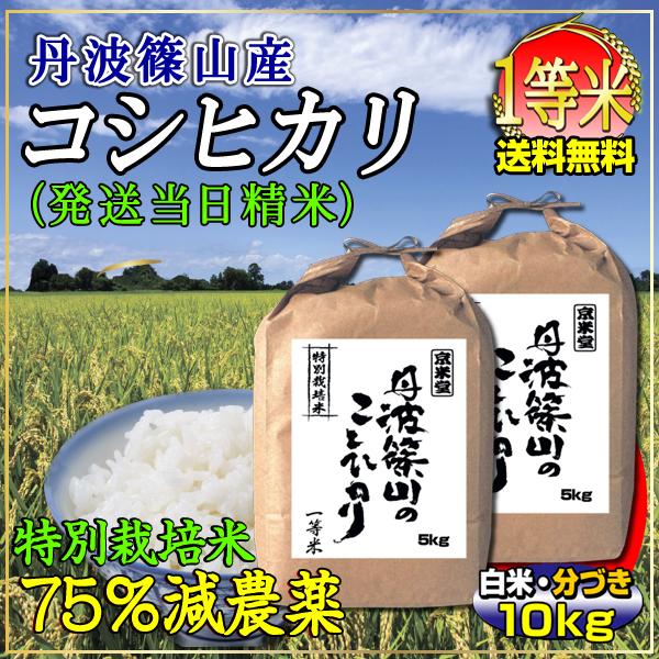 新米 お米 10kg コシヒカリ 白米 玄米 分づき可 特別栽培米 7.5割農薬減 兵庫県 丹波篠山産 特A 一等米 送料無料 令和5年産