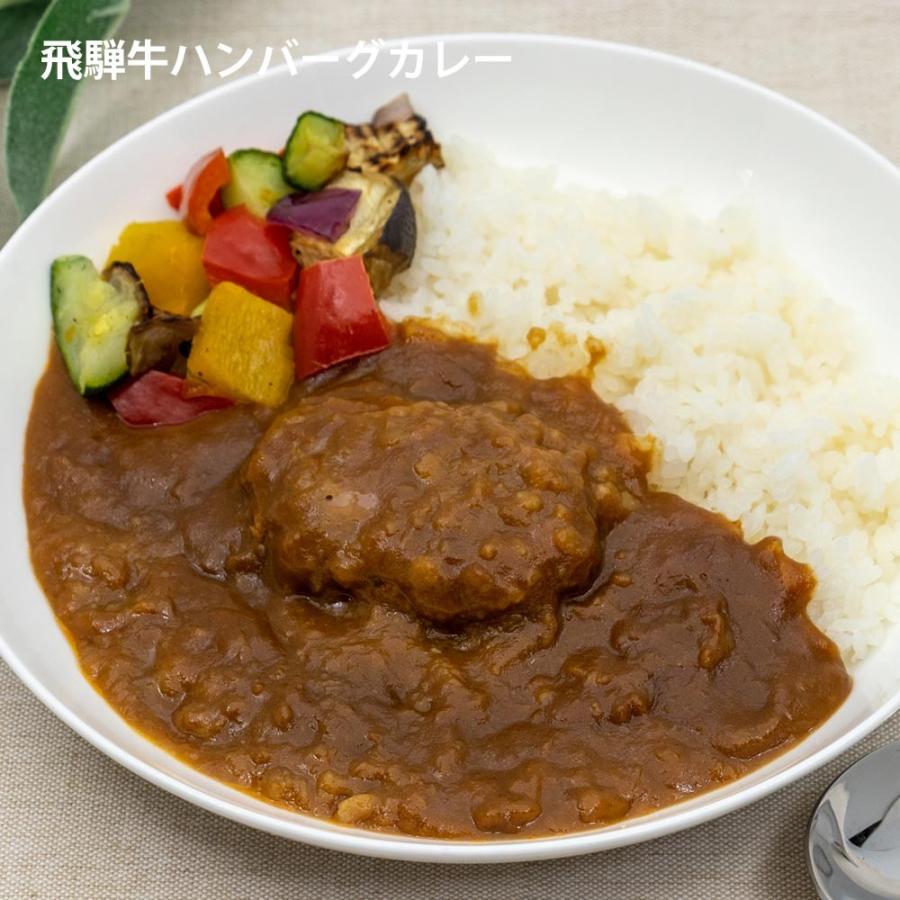 飛騨牛カレー３種セット　ギフト　化粧箱　12 1以降発送