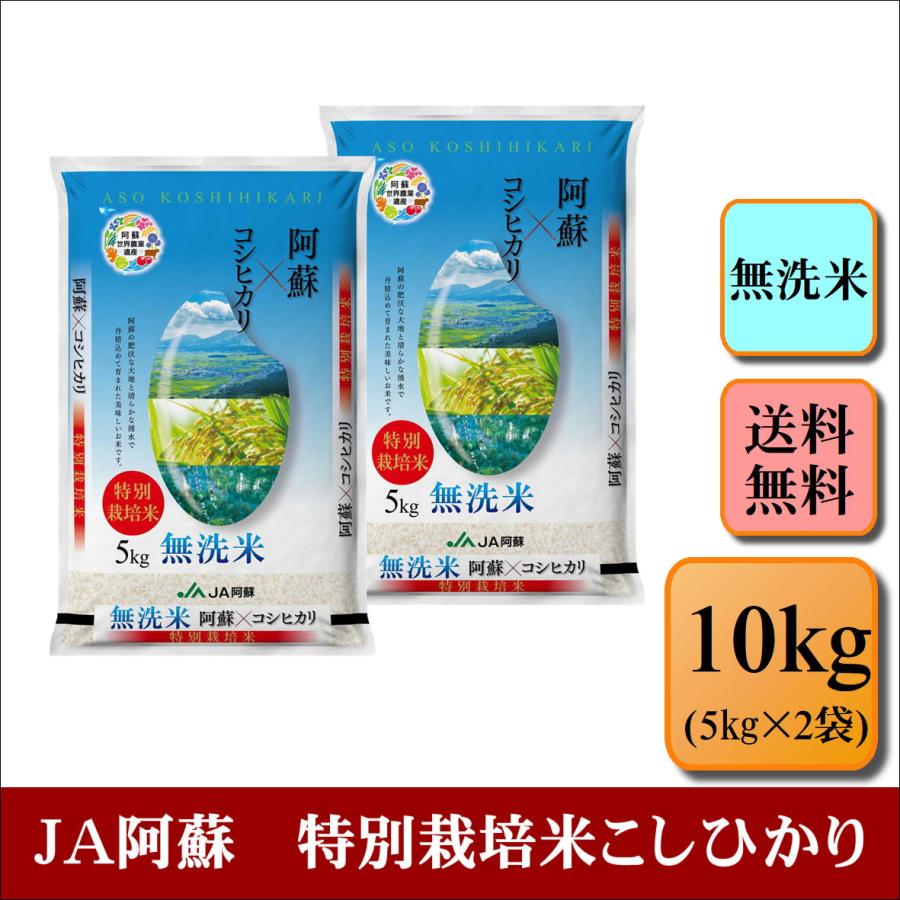 新米　お米　無洗米　令和５年産　ＪＡ阿蘇　特別栽培米こしひかり　10kg(5kg×2袋)　米　おこめ　白米　精米　