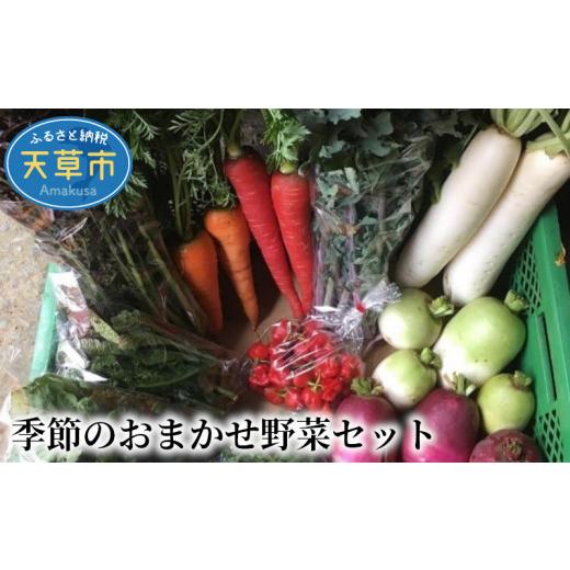 ふるさと納税 熊本県 天草市 S096-002_季節のおまかせ野菜セット