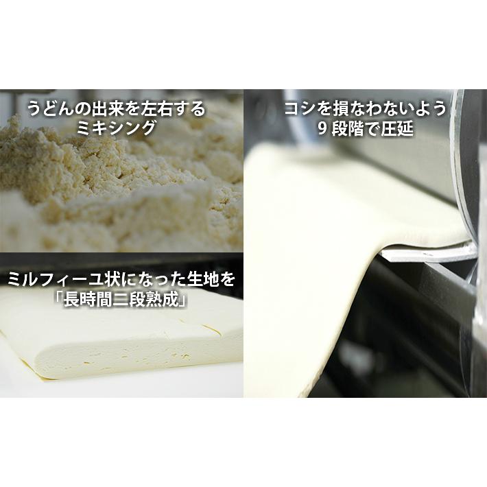 香川県　半生讃岐うどんセット（うどん300g×1、つゆ付き20ml×3）×２０箱