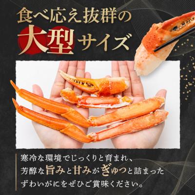 ふるさと納税 大洗町 ズワイガニ ボイル カット済 総重量1.3kg ハーフポーション ふるさと納税