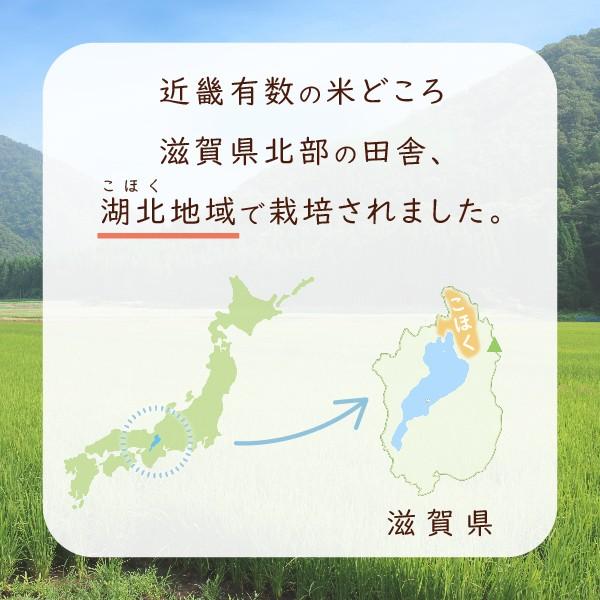 令和５年 滋賀県余呉町産 上丹生のコシヒカリ 20kg 