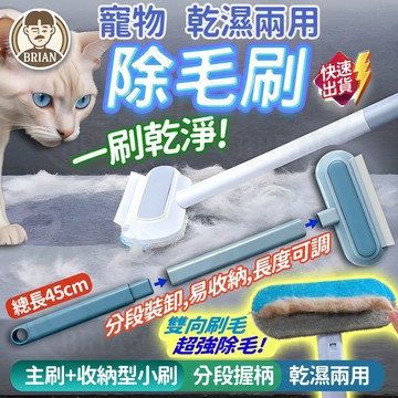 寵物除毛刷【布萊恩👨🏻隔日到貨】寵物除毛神器 可伸縮除毛刷 雙向除毛刷 寵物黏毛器 地毯沙發除毛刷 靜電除毛刷