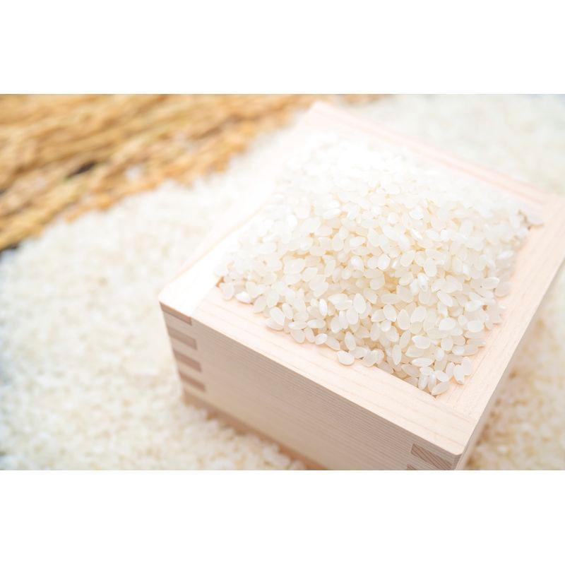富山県産 富富富（ふふふ） 5kg お米 精米