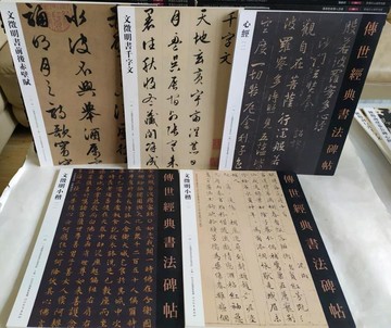 傳世經典書法碑帖 文征明5冊 小楷一二書千字文心經書前后赤壁賦