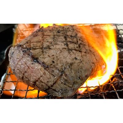 ふるさと納税 長崎市 長崎和牛 出島ばらいろ あぶり焼き赤身(モモ、カタ)約600g(タレ付き)