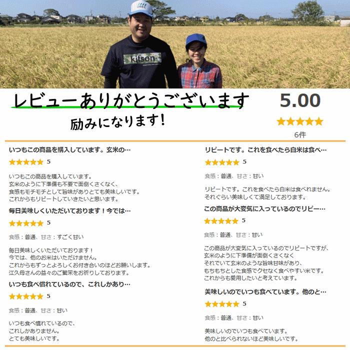 無農薬 無肥料 発芽前玄米10Kg 福岡県産 令和5年度産 元気つくし 0.5分づき米 発芽玄米 筑後久保農園 自然栽培米