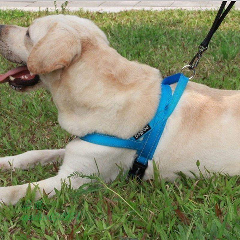 犬用 ハーネス おしゃれ 中型犬 小型犬 大型犬 軽量 首輪 ペット用 簡単着脱 通販 LINEポイント最大1.0%GET | LINEショッピング