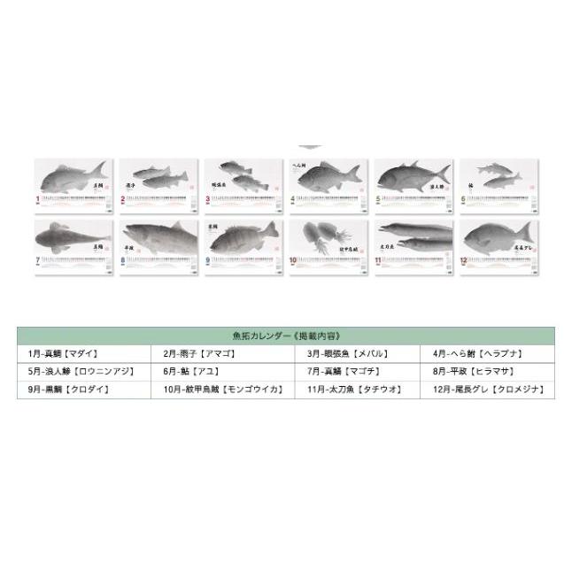 シマノ2024年★魚拓カレンダー★店名印無