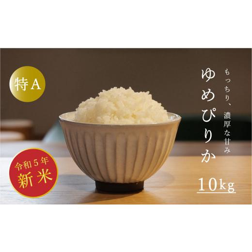 ふるさと納税 北海道 当麻町 令和5年産新米 長谷川農園ゆめぴりか10kg（令和5年産）