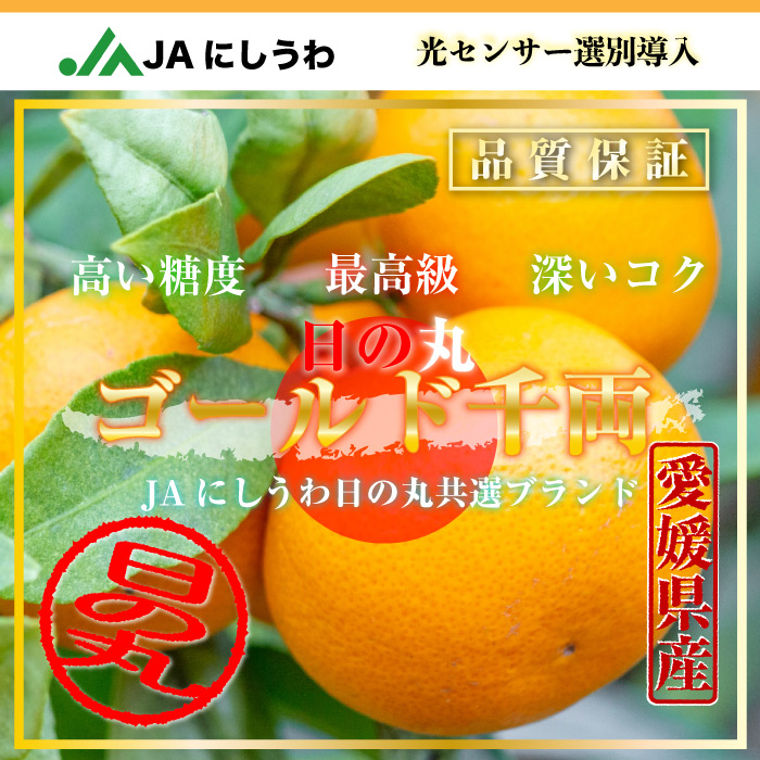 [予約 2023年11月1日-11月30日の納品] ゴールド千両 日の丸みかん 約5kg M 愛媛県 JAにしうわ 西宇和 みかん 日の丸共選 用 産地箱