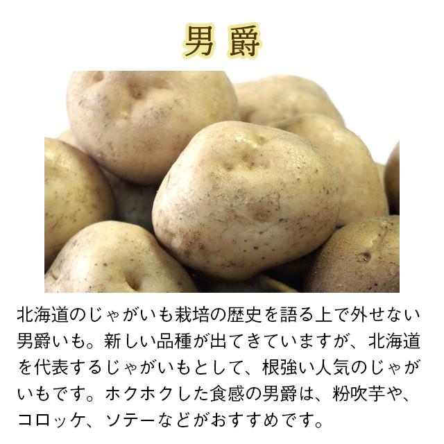 出荷開始中 新じゃがいも じゃがいも 送料無料 北海道旭川 平田農場のじゃがいも（とうや・男爵・キタアカリ・メークイン）Lサイズ 10kg   産地直送