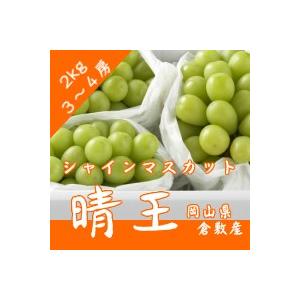 シャインマスカット「晴王」ぶどう王国 岡山県産 3〜4房 約2kg 9月上旬〜出荷 順次出荷致します。数量限定