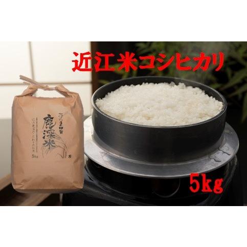 送料無料！令和5年産　特別栽培米「コシヒカリ」　５ｋｇ