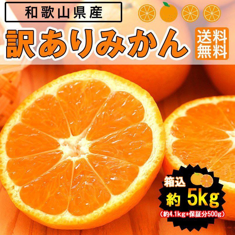 みかん 5kg（箱込約5kg）和歌山県産 訳あり・ご家庭用 送料無料（東北・北海道・沖縄県除く）（配達日指定不可）