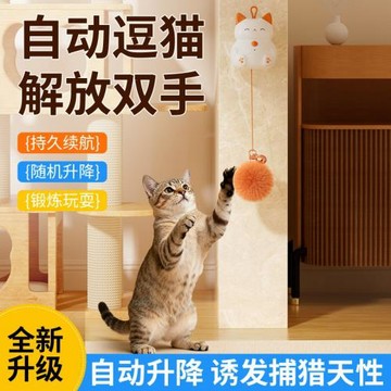 跨境寵物新品電動貓咪玩具招財貓自動升降球逗貓球不打結充電款