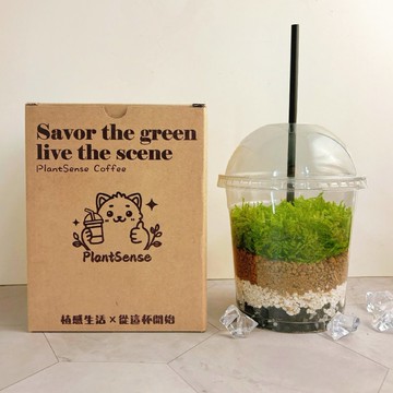 綠色拿鐵 | 給生活一點森呼吸 植物 苔蘚 植栽 綠植 擺飾