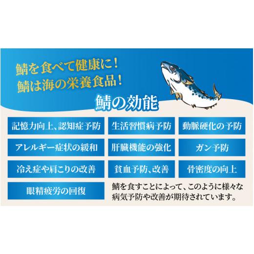 ふるさと納税 福井県 小浜市  鯖へしこ 1尾