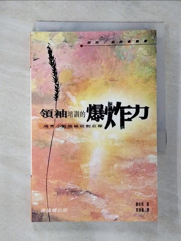 【書寶二手書T6／宗教_G2C】領袖培訓的爆炸力_康約珥