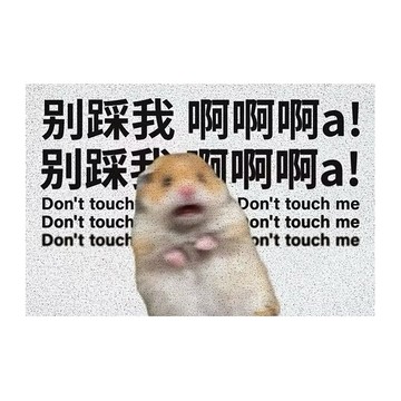 臥室地墊 PVC材質 矩形  60 x 40 x 0.5cm  別踩我 驚嚇倉鼠 白色