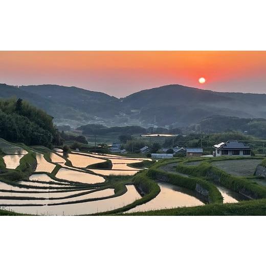 ふるさと納税 兵庫県 淡路市 《玄米》淡路島の棚田米 ５kg