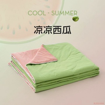 桃園出貨🍂【涼爽一夏】A類西瓜夏涼被被芯學生宿舍夏被單雙人空調被可機洗