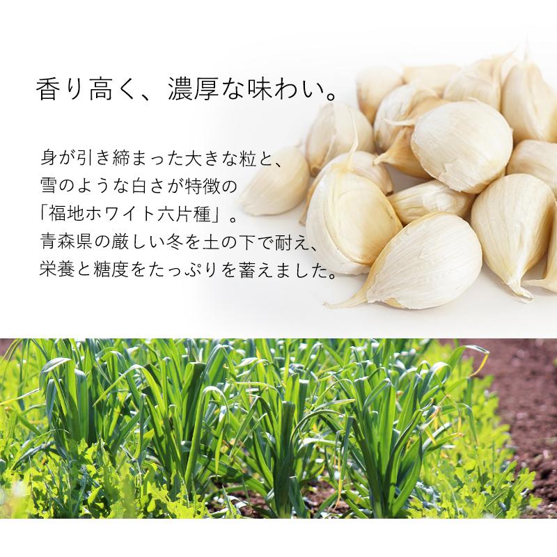 送料無料 青森県産 訳あり にんにく バラカケ 約500g 人気の福地ホワイト六片種 家庭用 青森産 ニンニク 福地ホワイト サイズ混合 メール便 1000円