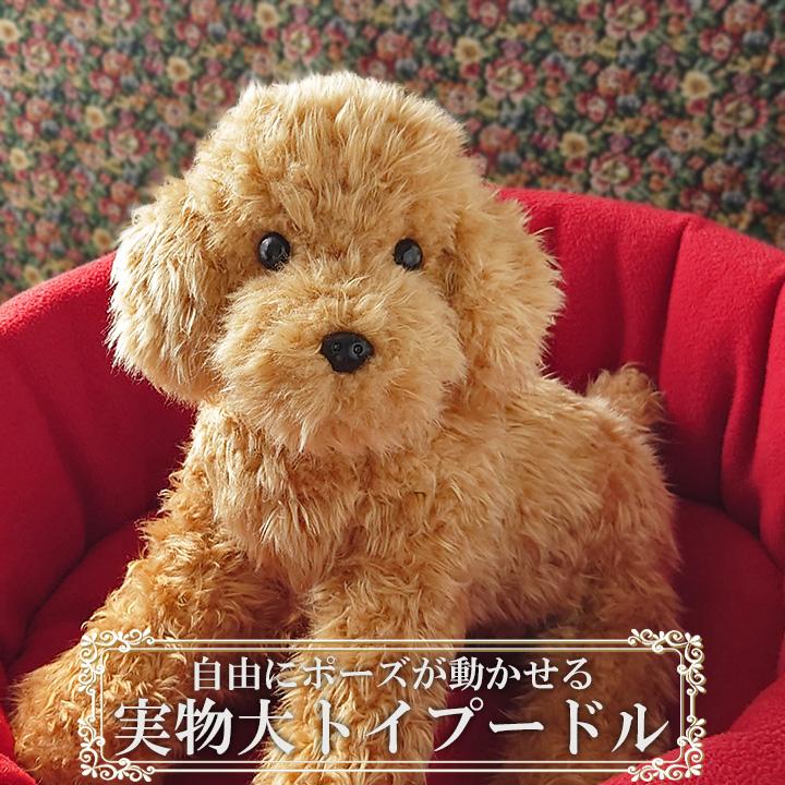 送料込み。トイプードルアプリコットちゃん。ちょうだいポーズ。直立。 ニニアンドキノ ぬいぐるみ 犬 リアル トイプードル