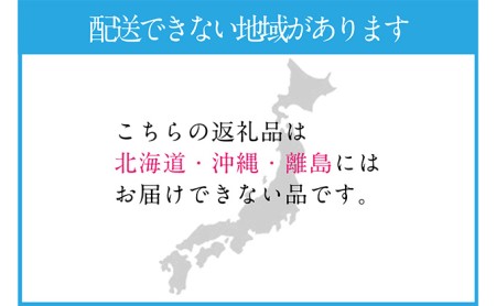 ぶどう 2024年 先行予約 シャイン マスカット 晴王 2房（合計約1.1kg） 晴れの国 おかやま 岡山県産 フルーツ王国 果物王国