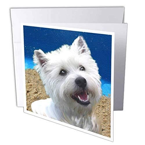 犬ウエスト・ハイランド・テリア???West Highland Terrier???グリーティングカード Set of 12 Greeting Car