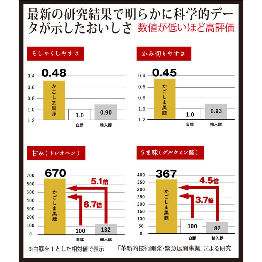 鹿児島黒豚 しゃぶしゃぶ 鍋セット 4人前 520g 豚肉 肩ロース 保存できる小分けパック4個 あごだしで食べる お取り寄せグルメ ギフト セット 六白豚 独楽