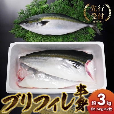 ブリフィレ 半身 約3kg(約1.5kg×2枚)ぶり 鰤_S042-001A