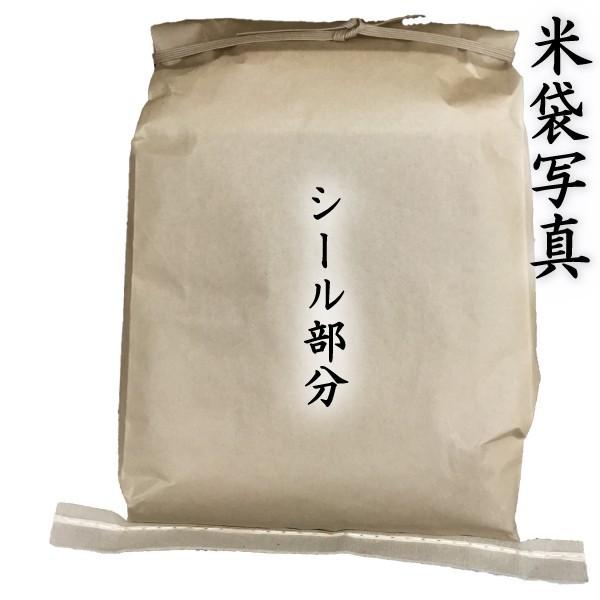 お米 米 10kg 玄米 送料無料 熊本県産 森のくまさん 新米 令和5年産 あすつく 5kg2個 くまもとのお米 富田商店 とみた商店