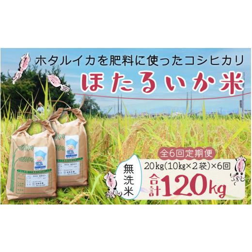 ふるさと納税 富山県 滑川市 ほたるいか米（無洗米20kg）×6回 計120kg