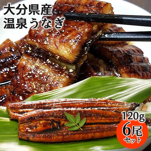 天然温泉で育った鰻 温泉うなぎ蒲焼き 120g×6尾セット(特製タレ30ml×2