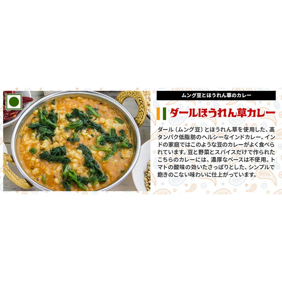 ナンカレーセットB 送料無料 インドカレー インド料理 セット商品