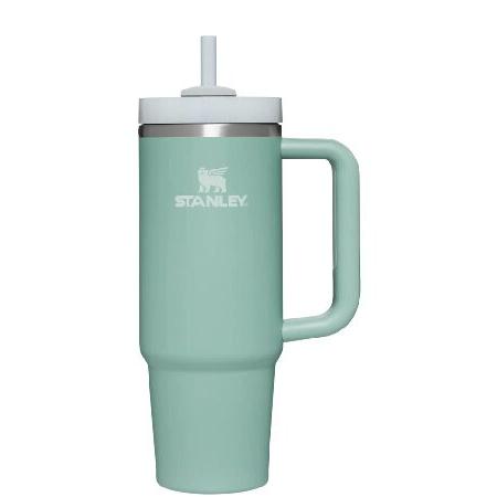 Stanley Adventure Eucalyptus 30oz Reusable Vacuum Quencher Tumbler with Straw, Leak Resistant Lid, Insulated Cup, Maintains Heat Cold, Heat, and Ice