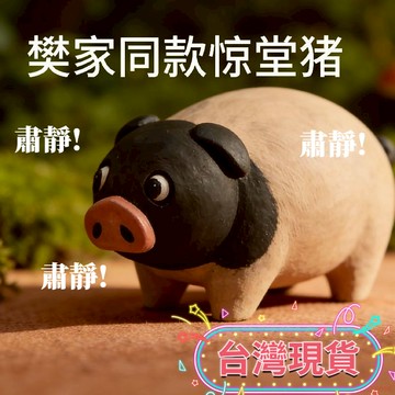 桃園出貨✨  逐玉小豬  逐玉張凌赫  田曦薇 長玉擺件 同款掛件  同款小豬驚堂書包飾品 小豬公仔  擺件豬 長玉同款