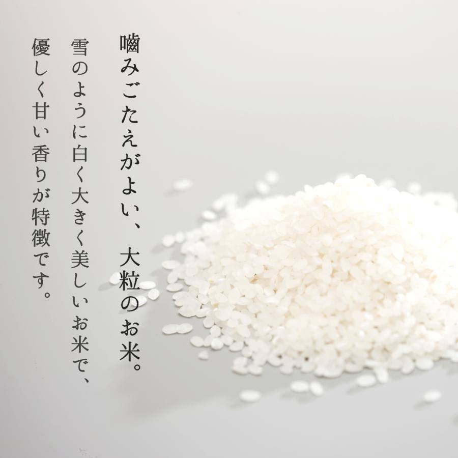 米 10kg お米 雪若丸 白米 山形県産 送料無料 5kg×2袋 新米 令和5年