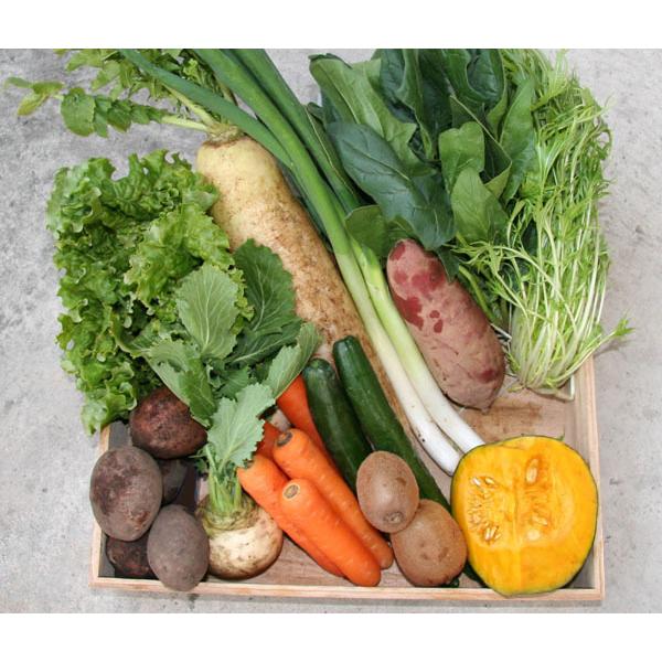 自然栽培 野菜セット（10〜11種類）★季節の旬のお野菜詰め合わせ★無肥料・無農薬の、究極の自然栽培農法の野菜たちをお届けします♪