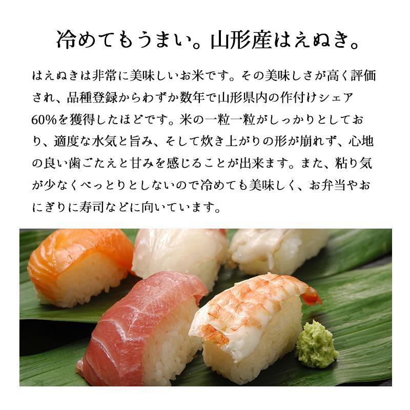 新米 20kg 山形産はえぬき お米 20キロ 令和5年産 精米 白米 5kgx4袋 送料無料