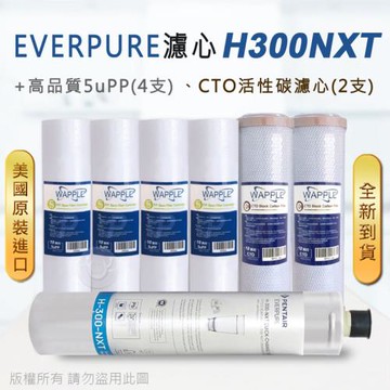 【Everpure】美國原廠平行輸入 H300NXT 濾心+高品質前置5uPP濾心+CTO濾心(7支組)
