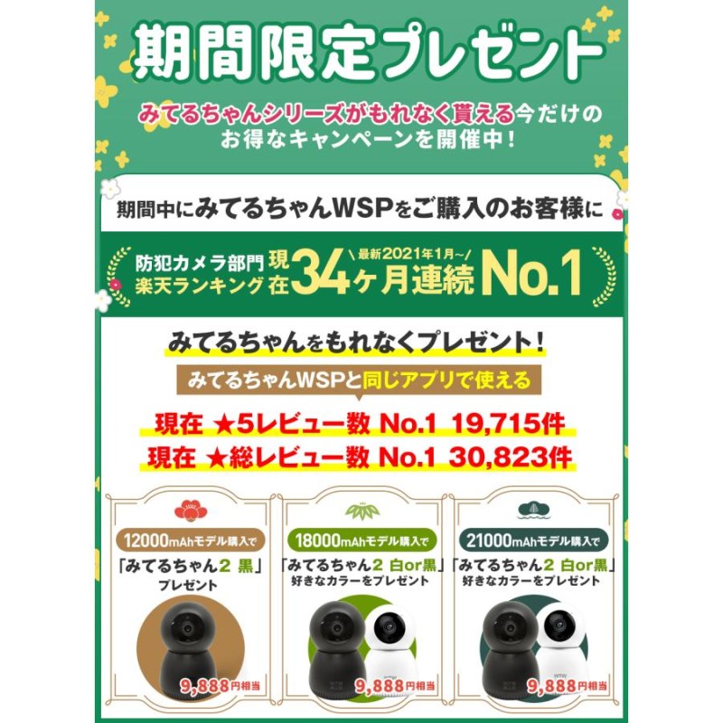 防犯カメラ 防犯カメラ アンテナ内蔵 1インチ 400万画素 屋外 2023最新