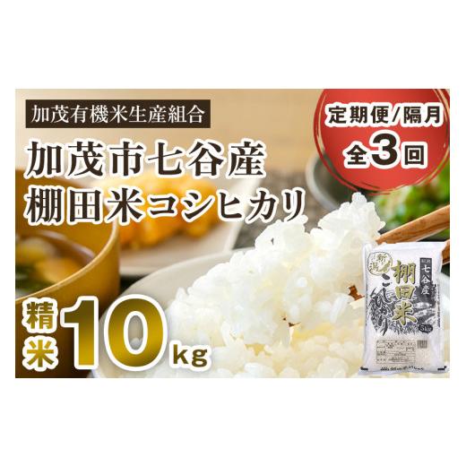 ふるさと納税 新潟県 加茂市 新潟県加茂市 七谷産 棚田米コシヒカリ 精米10kg（5kg×2）白米 加茂有機米生産組合