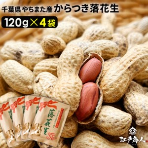 ★令和5年新豆スタート★千葉県やちまた産 からつき落花生 120g×4袋 高級感 クラフト袋 中手豊 ピーナッツ らっかせい 殻つき 送料無料