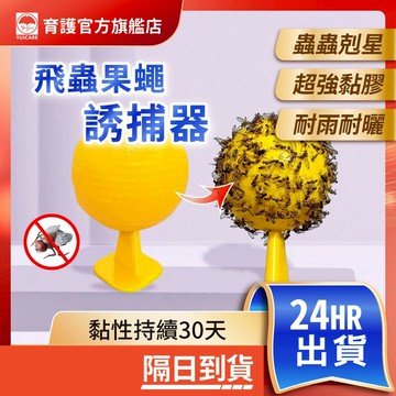 果蠅誘捕器 黏蟲球 超黏 捕蠅球 果蠅誘捕球 捕蠅板 黏蚊球 黏蠅板 害蟲黏蟲球 黏果蠅 蒼蠅球 捕蟲 捕蠅器 台灣現貨