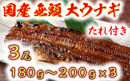 国産うなぎ　備長炭地焼き蒲焼き180g以上×3尾　タレ付き×3