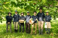 先行予約 北海道産 紅秀峰 800g バラ 秀品 Lサイズ以上 サクランボ   朝採り 当日発送