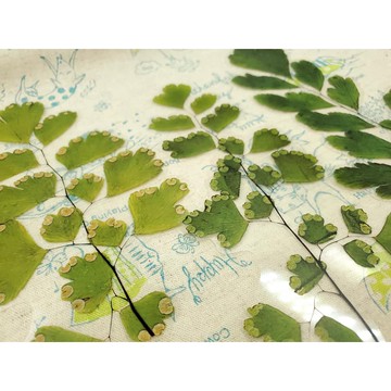 {布布村}花藝樹木葉子貼紙 週末花店系列 植物手帳日記 DIY貼紙